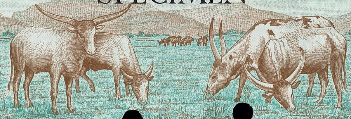 Melanie's Banknote Vault