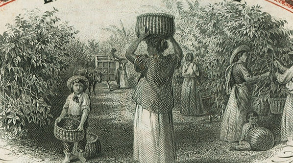 Melanie's Banknote Vault