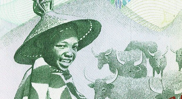 Melanie's Banknote Vault