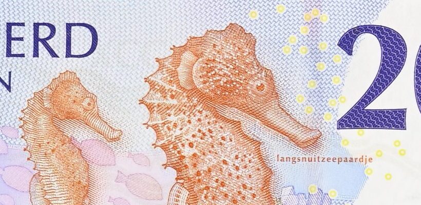 Melanie's Banknote Vault